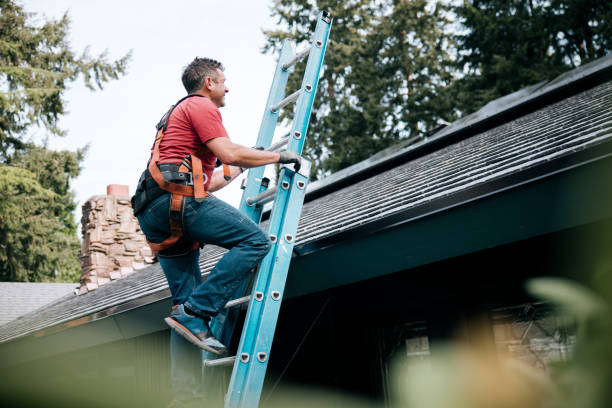 Best Roof Repair  in Willow, AK